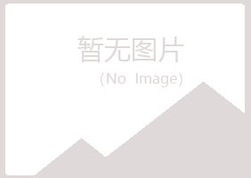 安阳文峰骤变化学有限公司